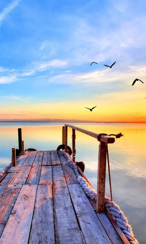 a dock with birds flying over the water