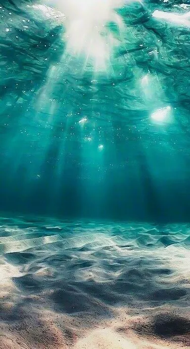 an underwater view of a sandy beach