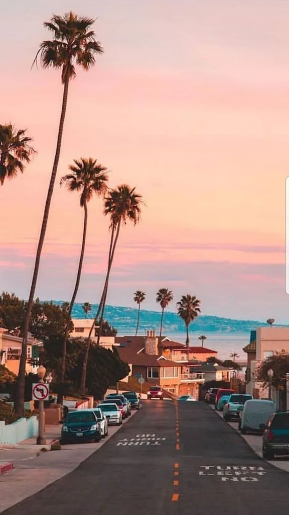 a street lined with palm trees and parked cars