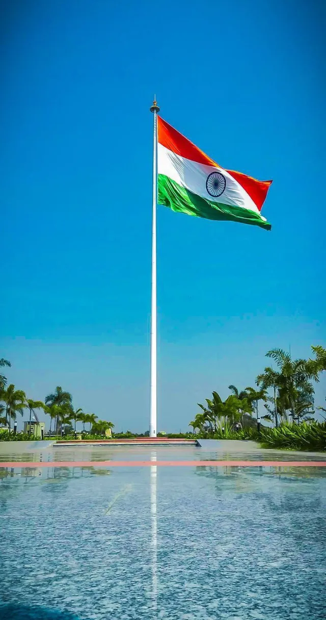 a flag flying in the wind over a body of water with a peacock