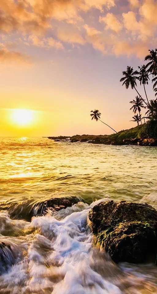 water, cloud, sky, afterglow, plant, nature, natural landscape, dusk, beach, coastal and oceanic landforms