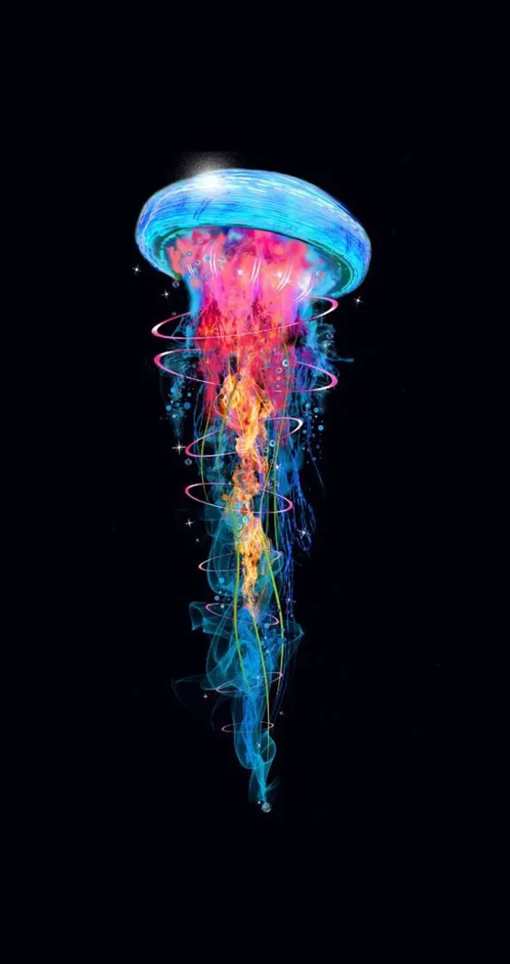 a colorful jellyfish floating in the water