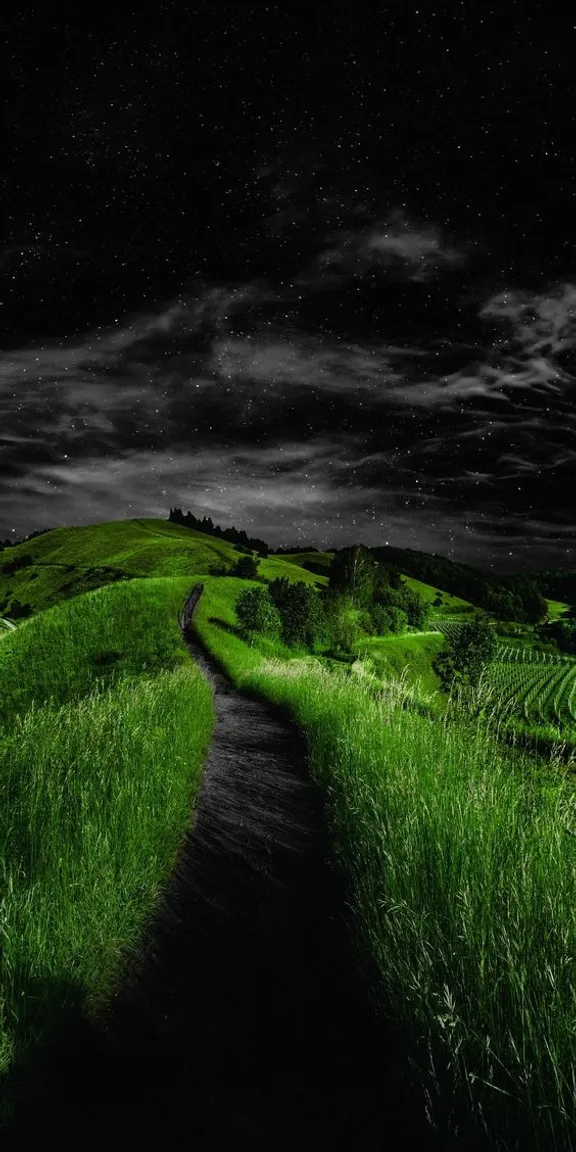 a green field with a dark sky in the background