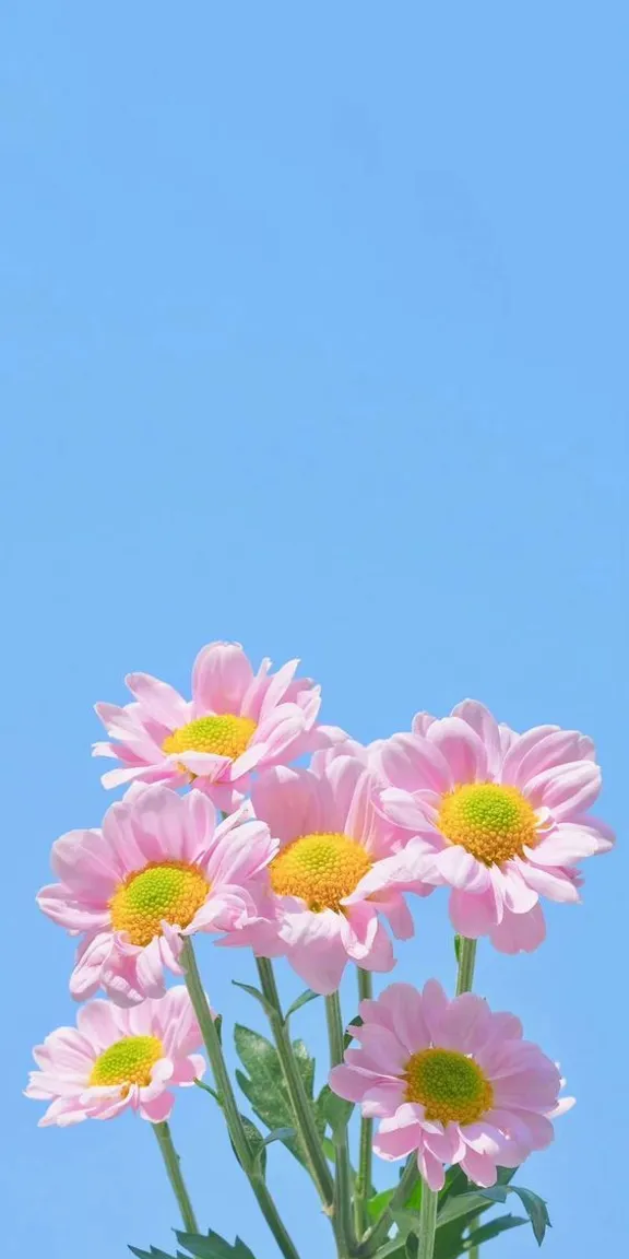 a vase filled with pink flowers on top of a table