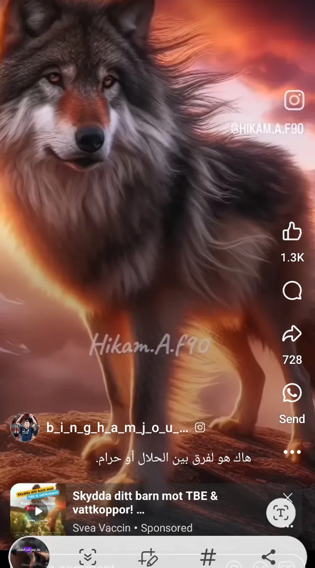 a picture of a wolf on a cell phone