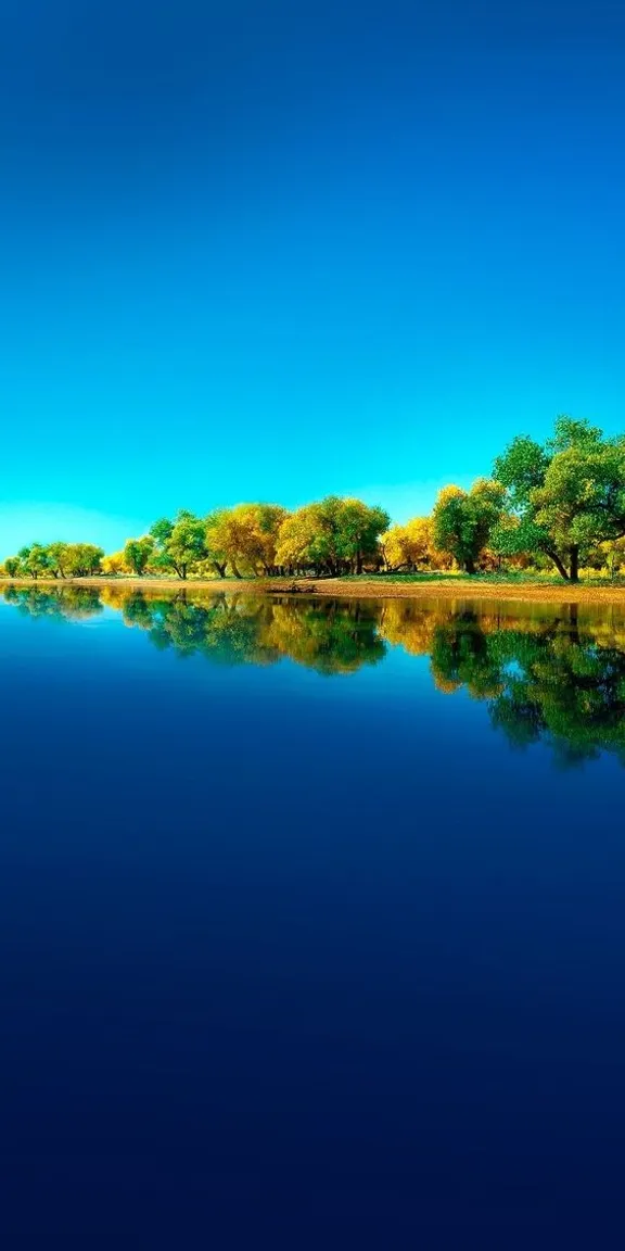 a large body of water surrounded by trees