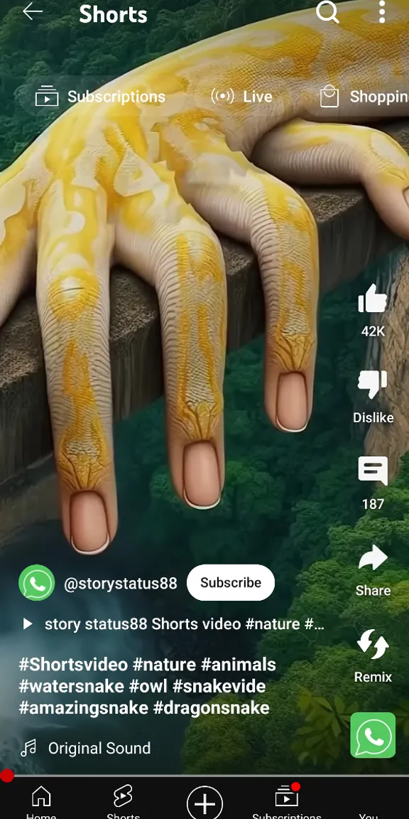 a hand that is holding a yellow snake