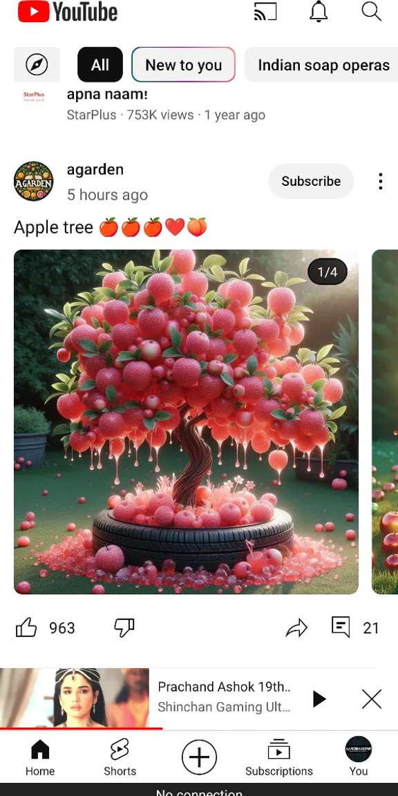 a picture of a tree with apples on it